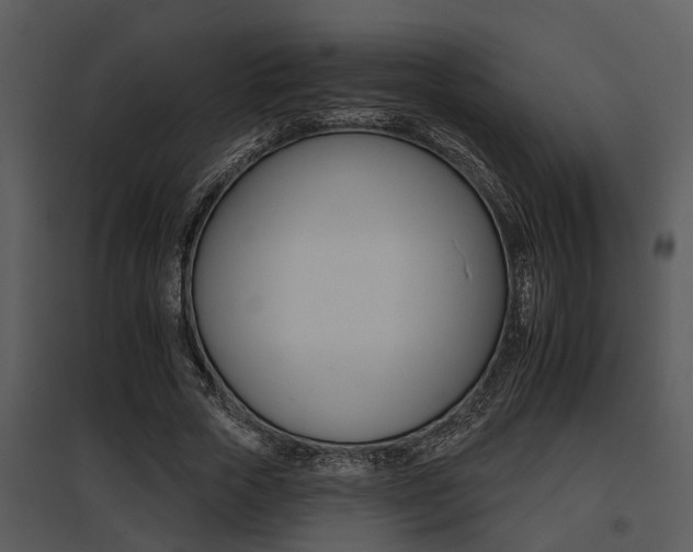 X0000095670729200801081038