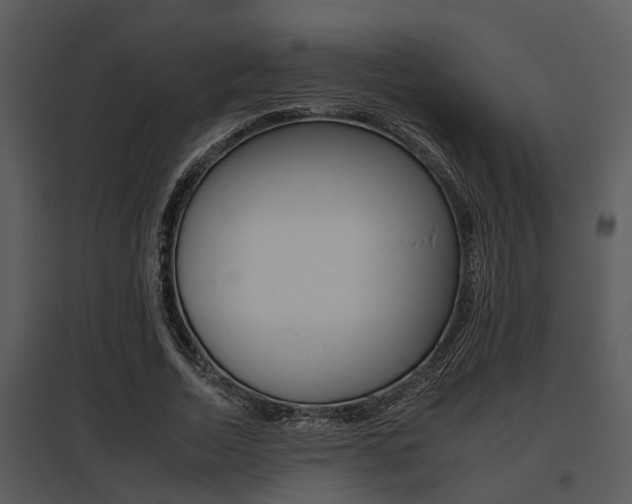 X0000095670730200801081038