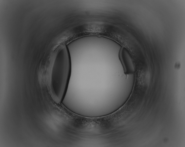 X0000095670731200801081038