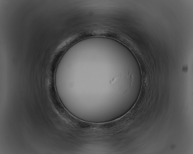 X0000095670732200801081039