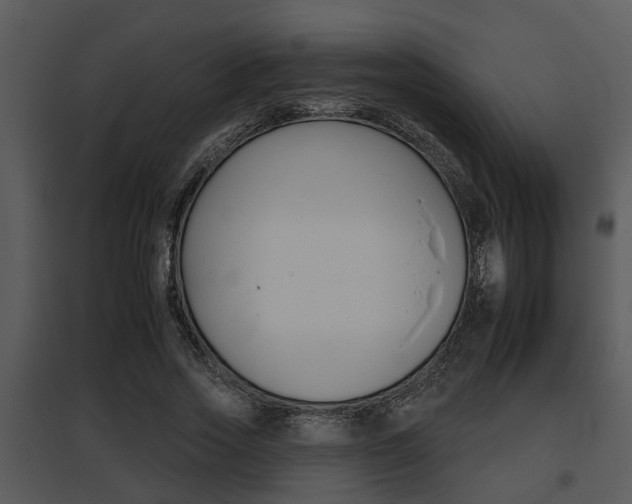 X0000095670733200801081039