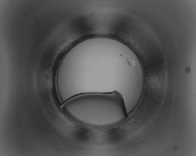 X0000095670734200801081039