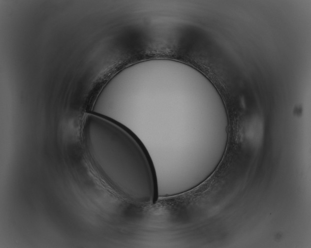 X0000095670735200801081039