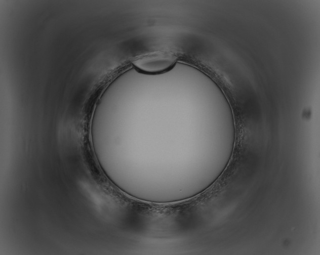 X0000095670736200801081039