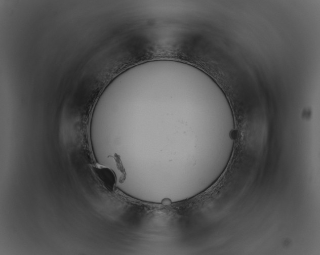 X0000095670737200801081039