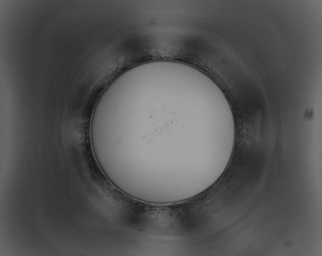 X0000095670738200801081039