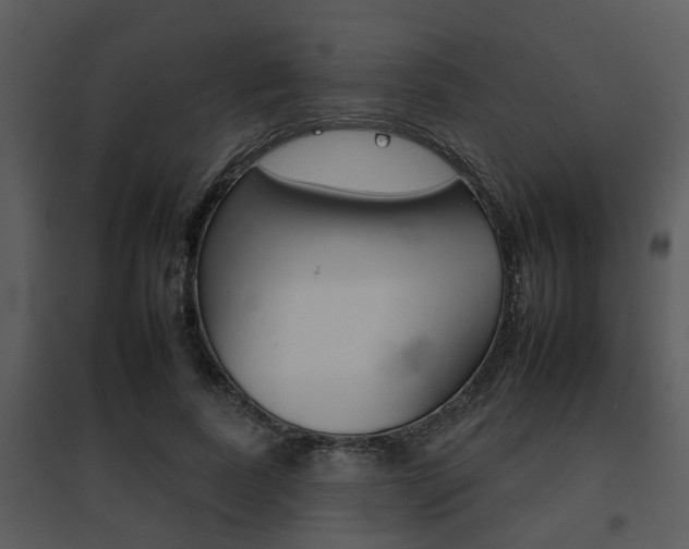 X0000095670739200801081039