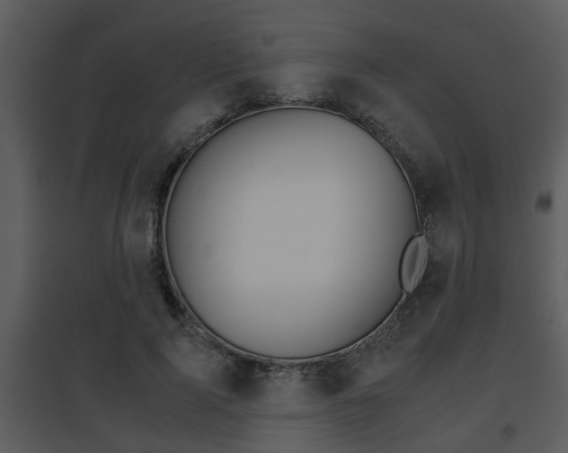 X0000095670740200801081039