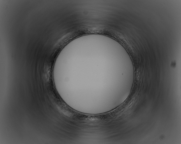 X0000095670741200801081039