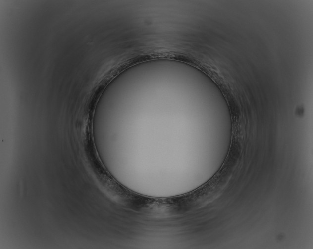 X0000095670742200801081039