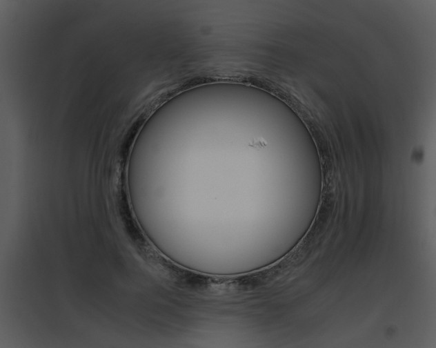 X0000095670744200801081039