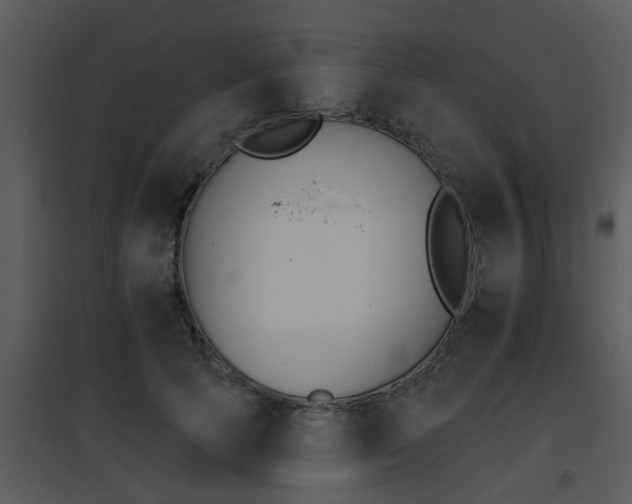 X0000095670745200801081039