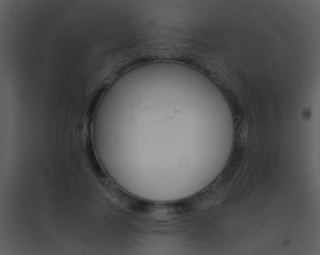 X0000095670746200801081039