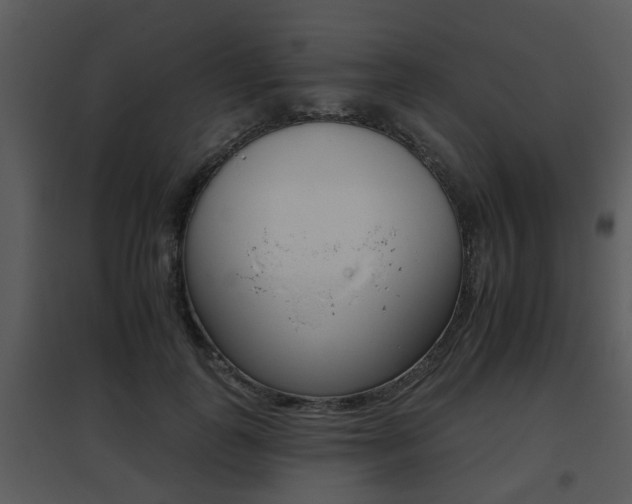 X0000095670747200801081039