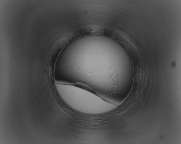 X0000095670748200801081039