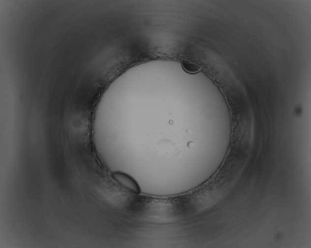 X0000095670749200801081039