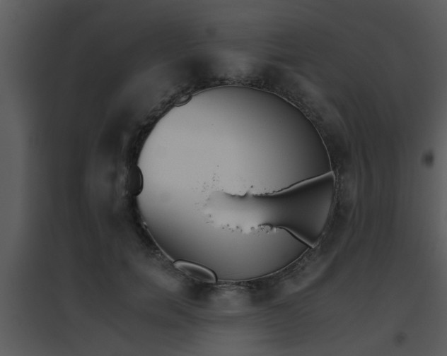 X0000095670750200801081039