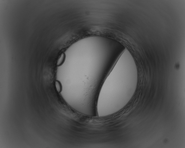 X0000095670751200801081039