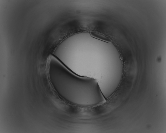 X0000095670752200801081039