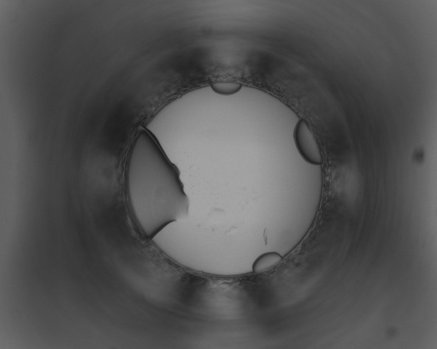 X0000095670753200801081039