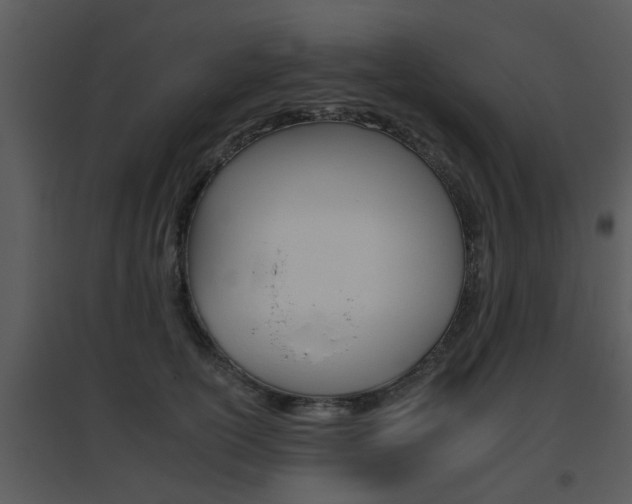 X0000095670754200801081039