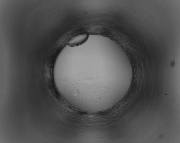 X0000095670755200801081039