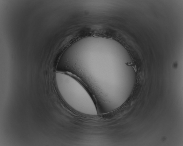X0000095670756200801081039
