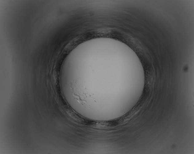 X0000095670758200801081039