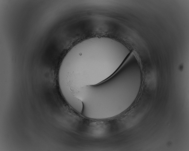 X0000095670759200801081039