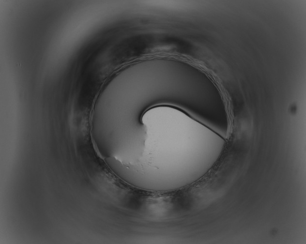 X0000095670760200801081039