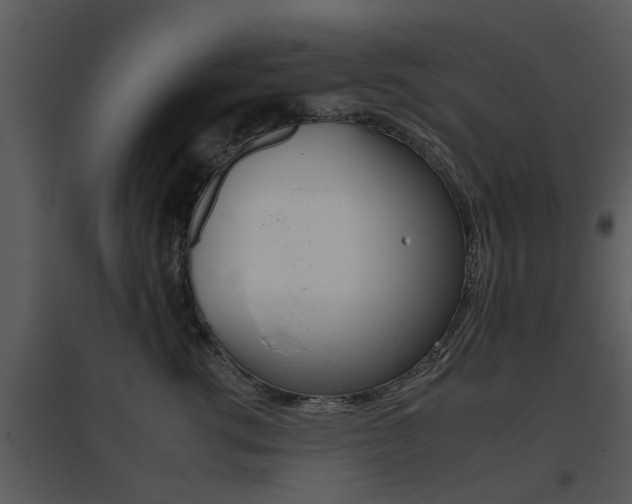 X0000095670762200801081039