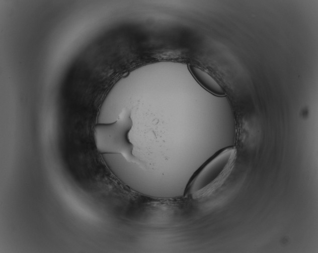 X0000095670763200801081039