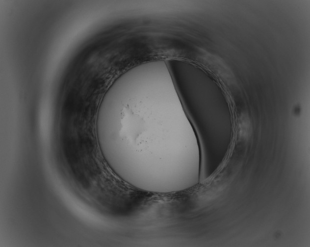 X0000095670764200801081039