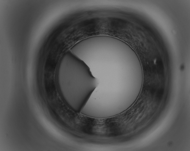 X0000095670766200801081039