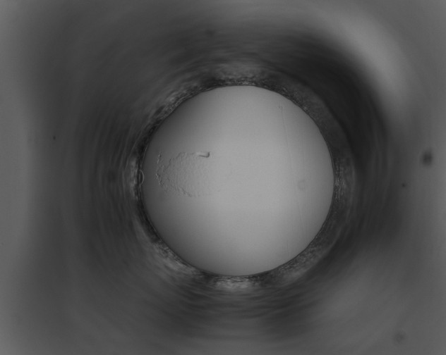 X0000095670767200801081039
