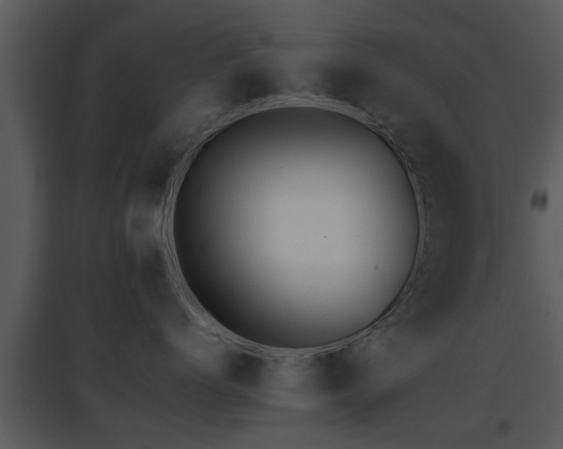 X0000095670768200801081039