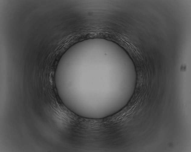 X0000095670770200801081038