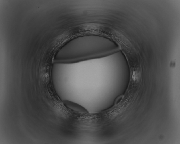 X0000095670771200801081038