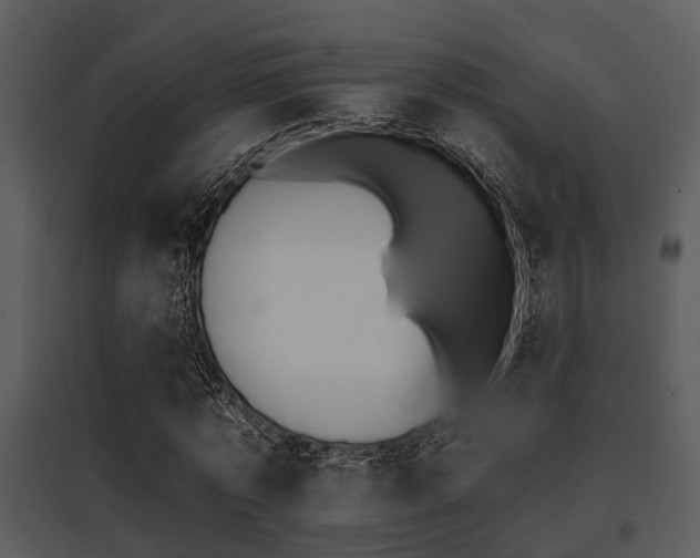 X0000095670773200801081038