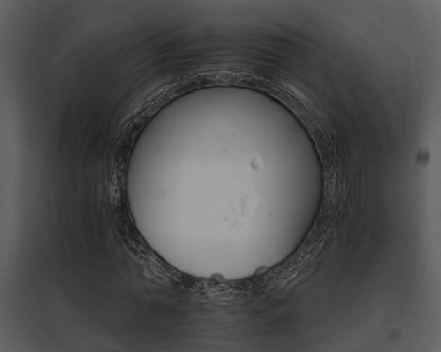 X0000095670774200801081038