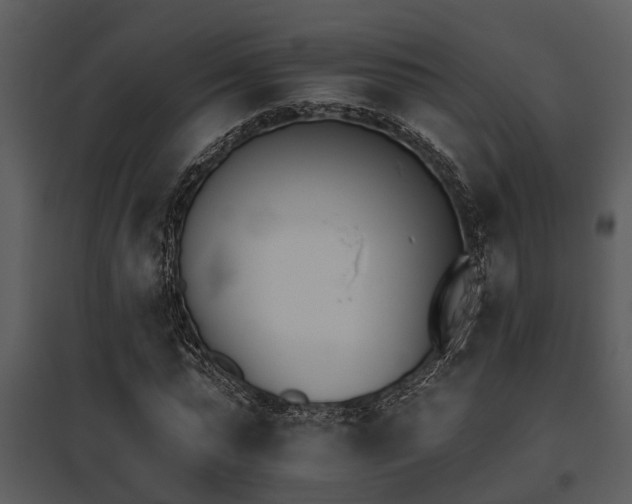 X0000095670775200801081038