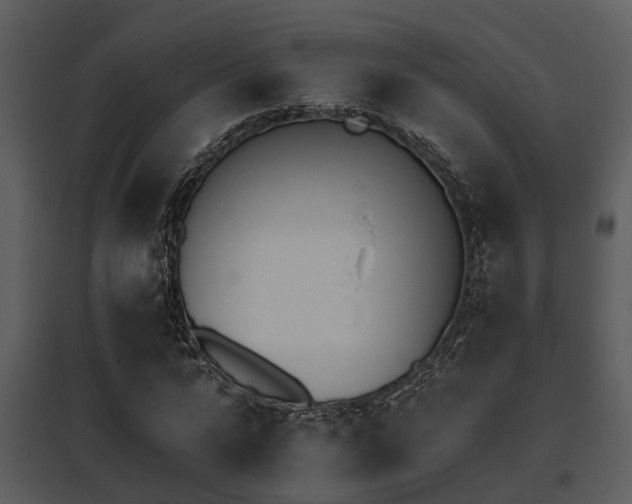 X0000095670776200801081038