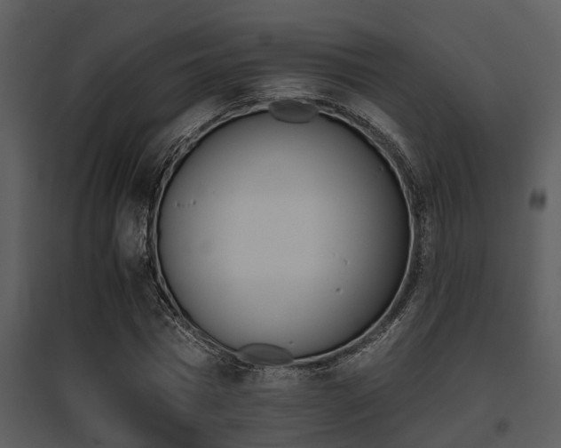 X0000095670777200801081038