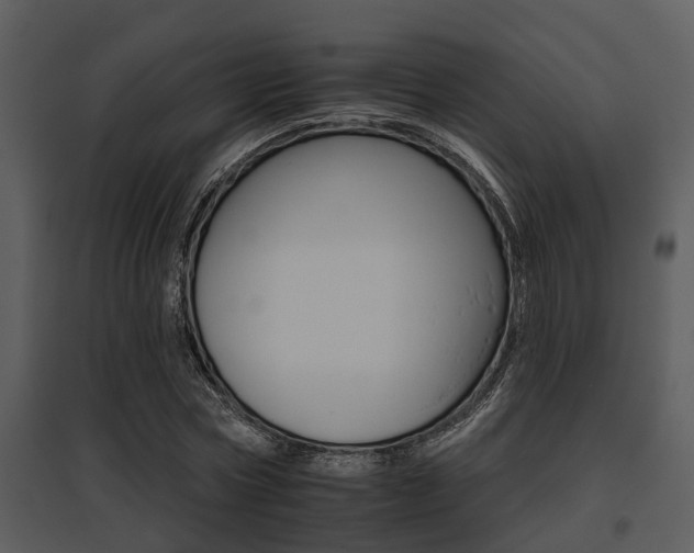X0000095670778200801081038