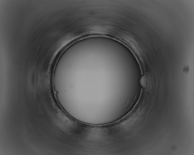 X0000095670779200801081038
