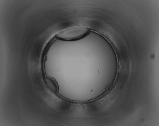 X0000095670780200801081038