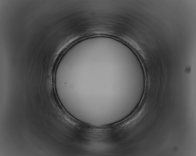 X0000095670782200801081038