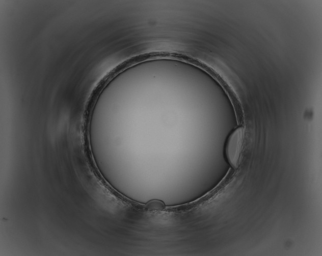 X0000095670783200801081038