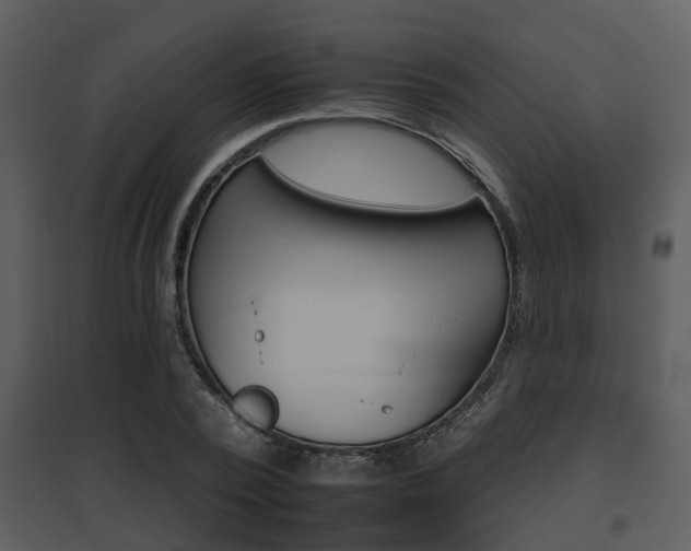 X0000095670784200801081038