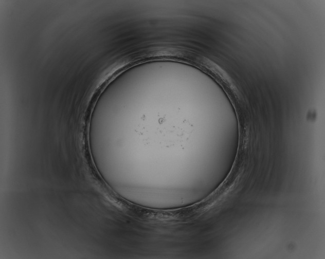 X0000095670786200801081038